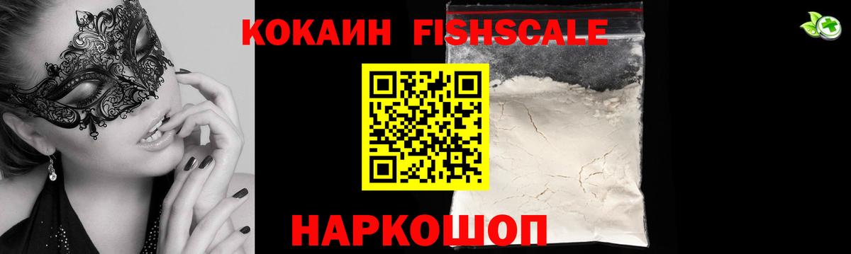 Партизанск  Кокаин Fish Scale  Вход с VPN  Cocaine Fish Scale 