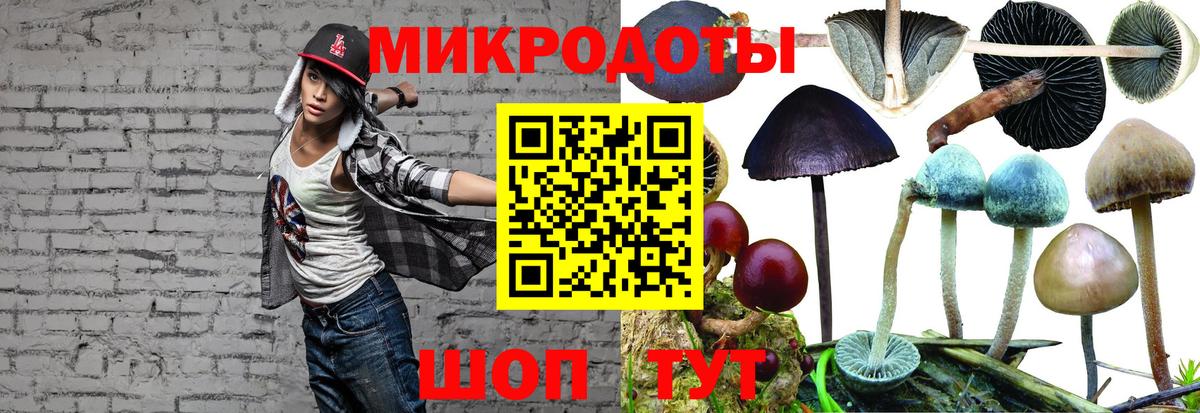 Партизанск  Галлюциногенные грибы мухоморы  Вход с VPN 