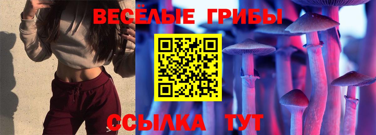 Галлюциногенные грибы GOLDEN TEACHER Партизанск